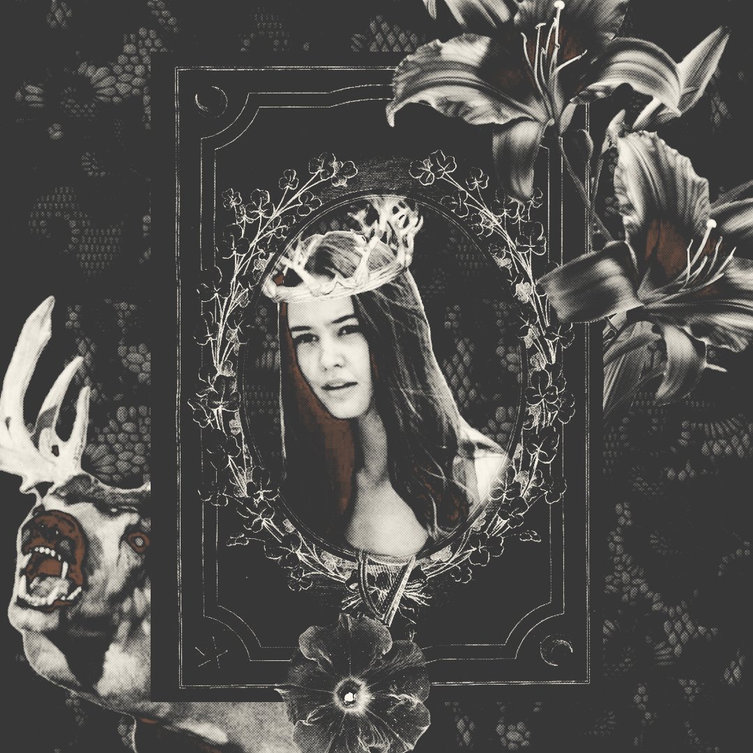 ‍ ‍ ‍ m﹐ 𝒃𝒂𝒓𝒂𝒕𝒉𝒆𝒐𝒏. tweet media