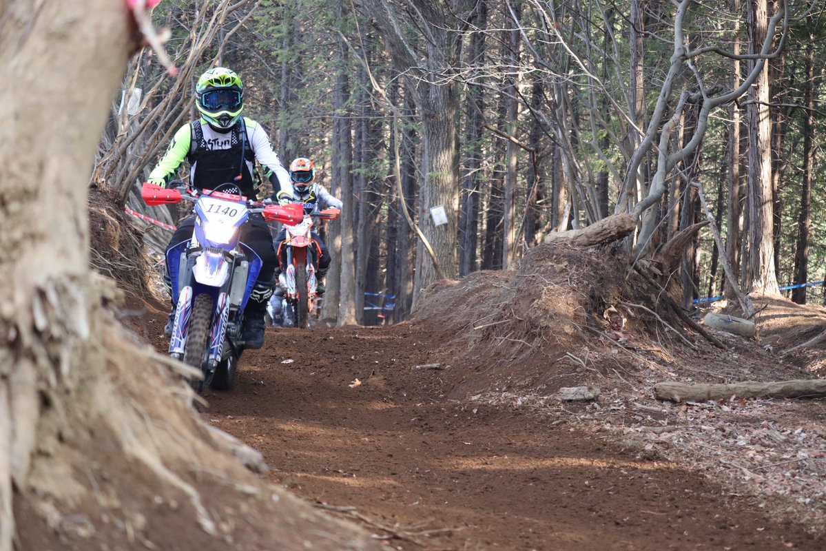 ぼなんざ tweet media