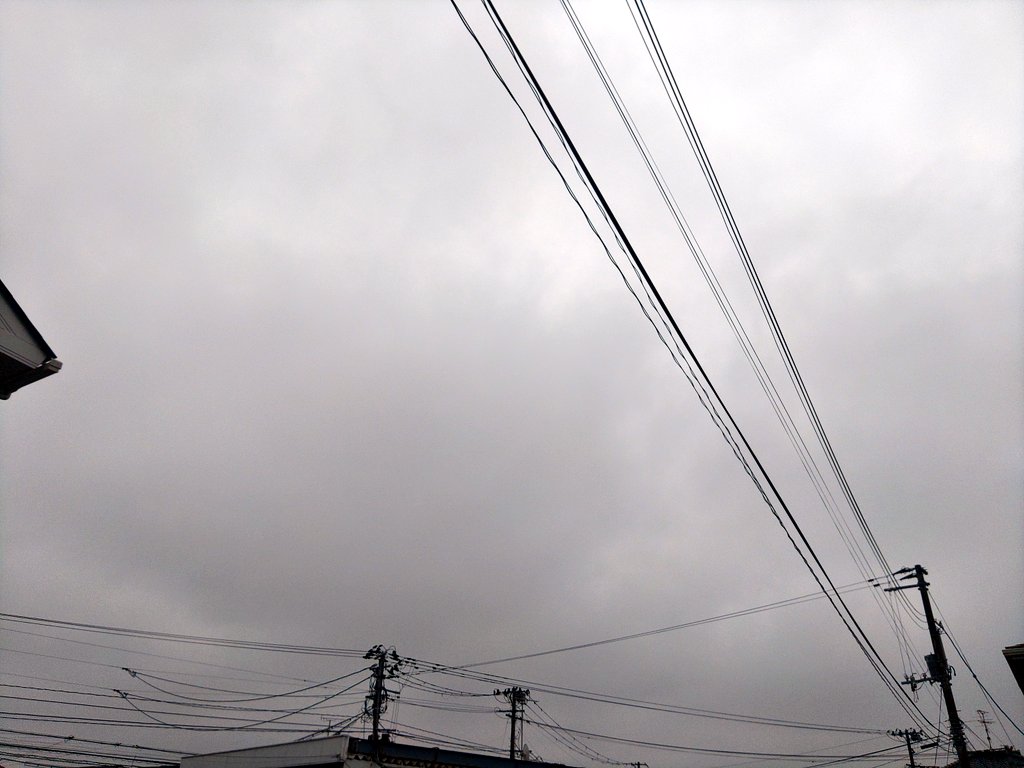 クチャッキー (子でびる広報部長) tweet media