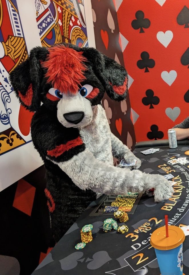 FlopDog 🐶❤️🐶 🔜 LVFC tweet media