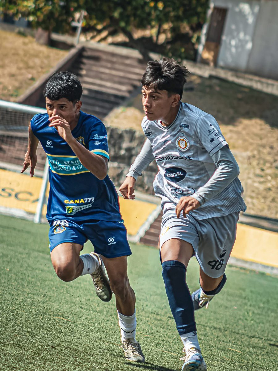 Aloud Sports tweet media