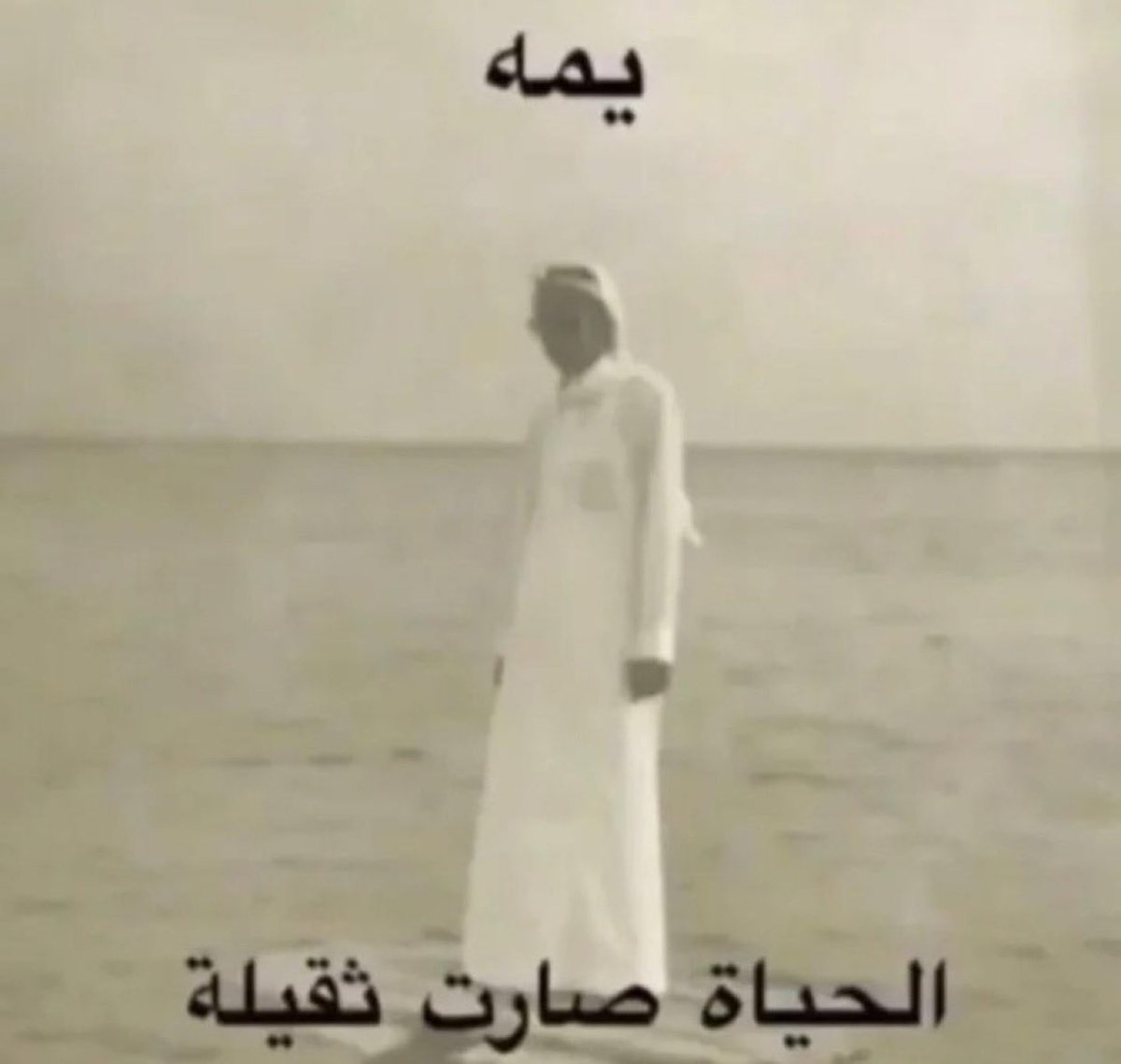 spider🕸 tweet media