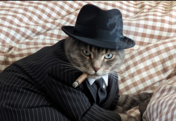 AQUA ZERO tweet media