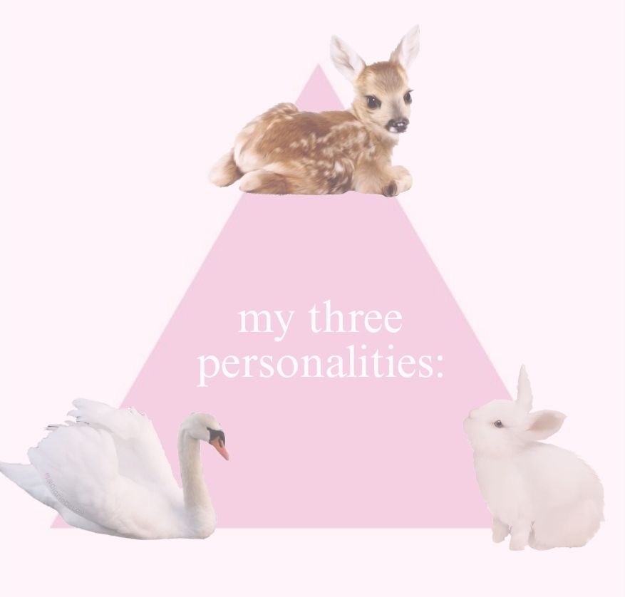 sofia ❤︎︎ tweet media