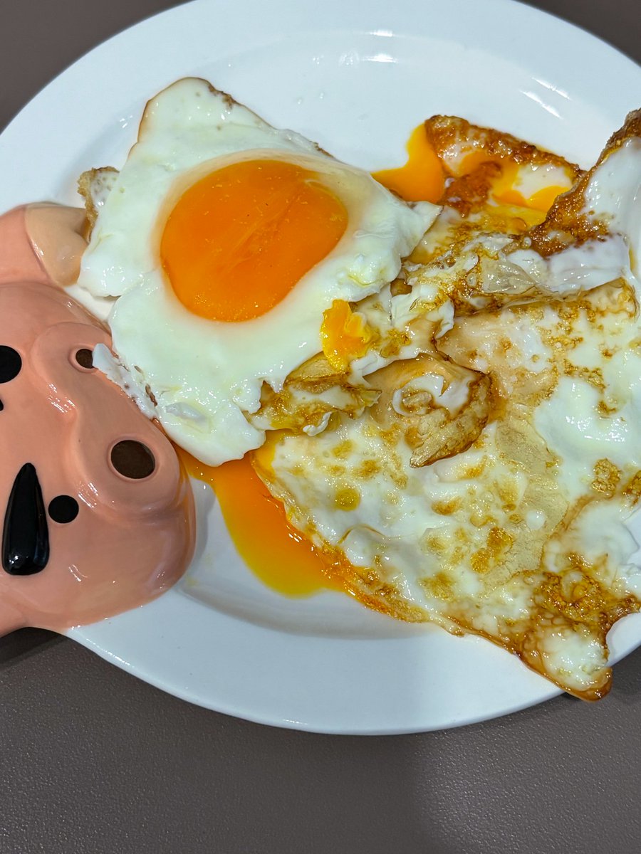 이션스토어 tweet media