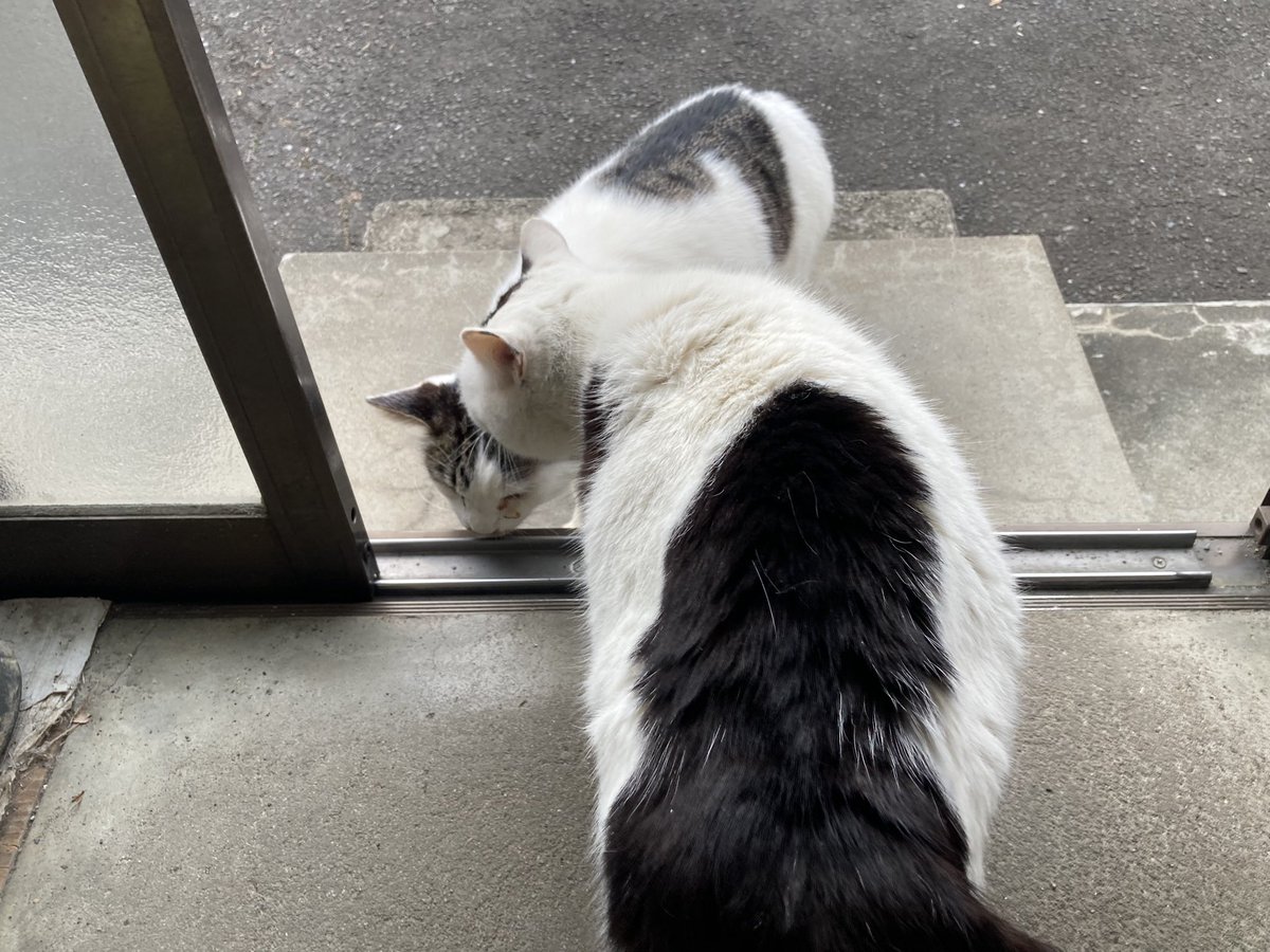 ミヤギCB46 tweet media