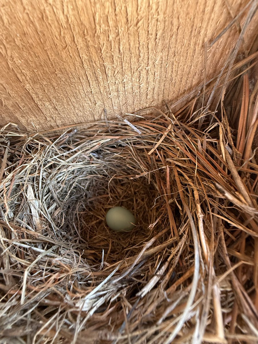 More pics of STEM Day 2026!