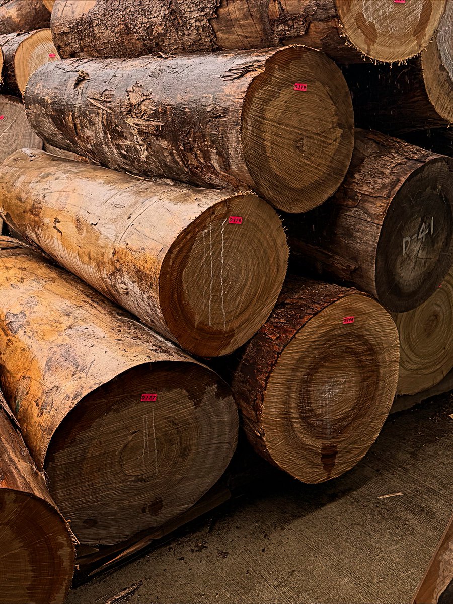 田島享央己 / Takaoki Tajima tweet media