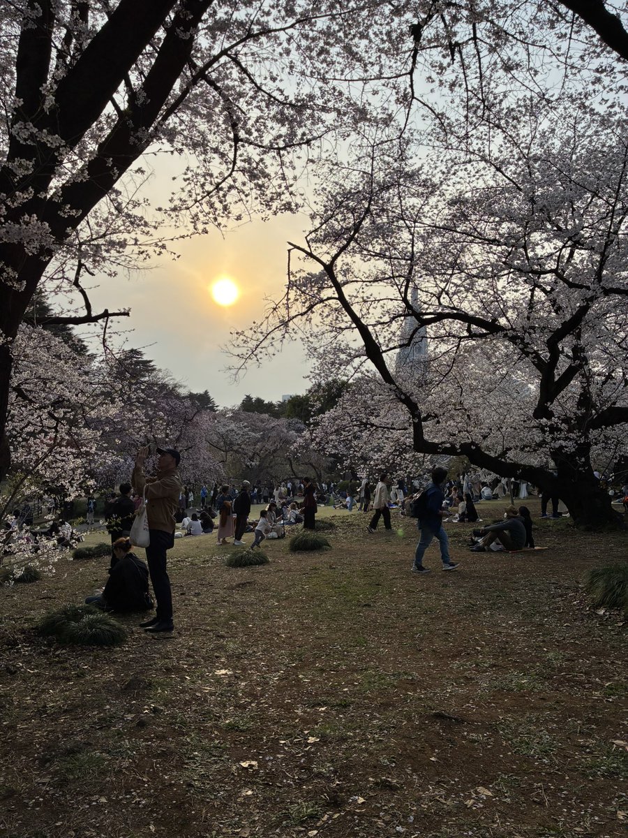 第二弾長編映画『夢幻紳士夜の劇場』モーションギャラリーでクラウドファンディング中。6/26まで。 tweet media