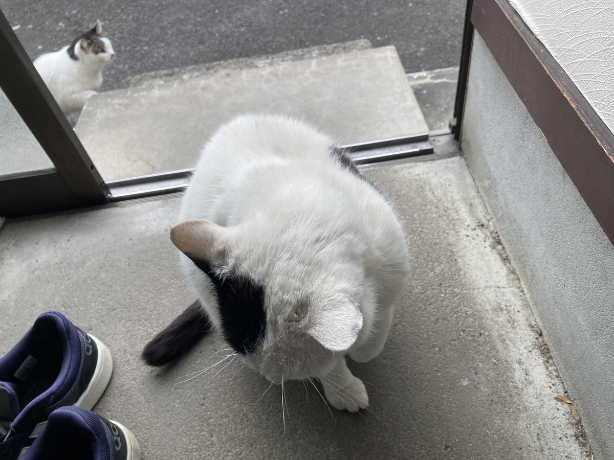 ミヤギCB46 tweet media