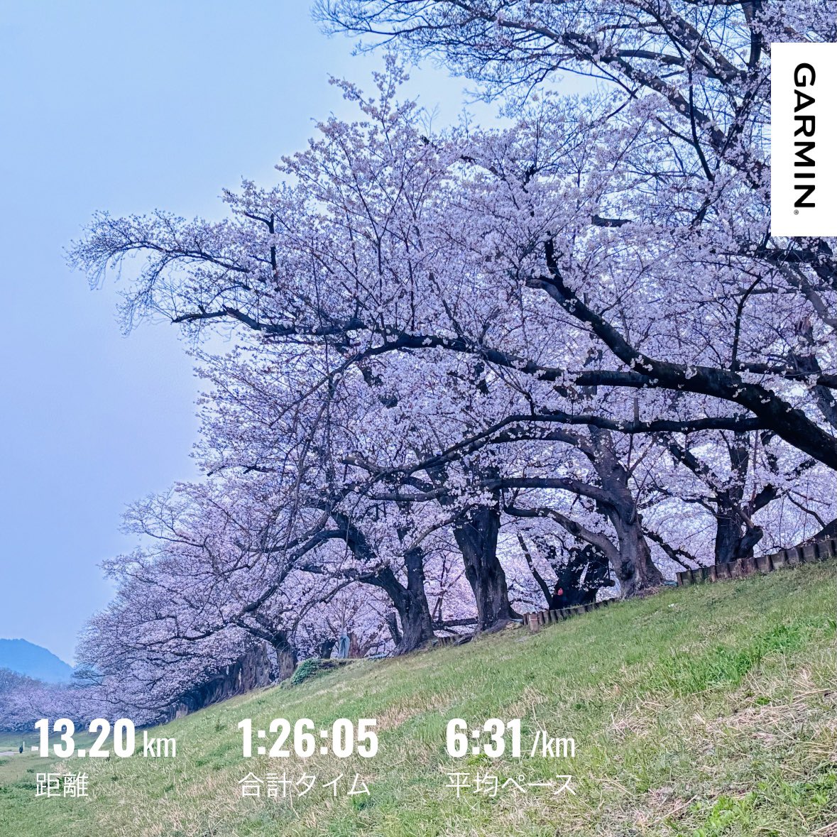 さっち@4/19 OBAMA若狭マラソン大会 tweet media