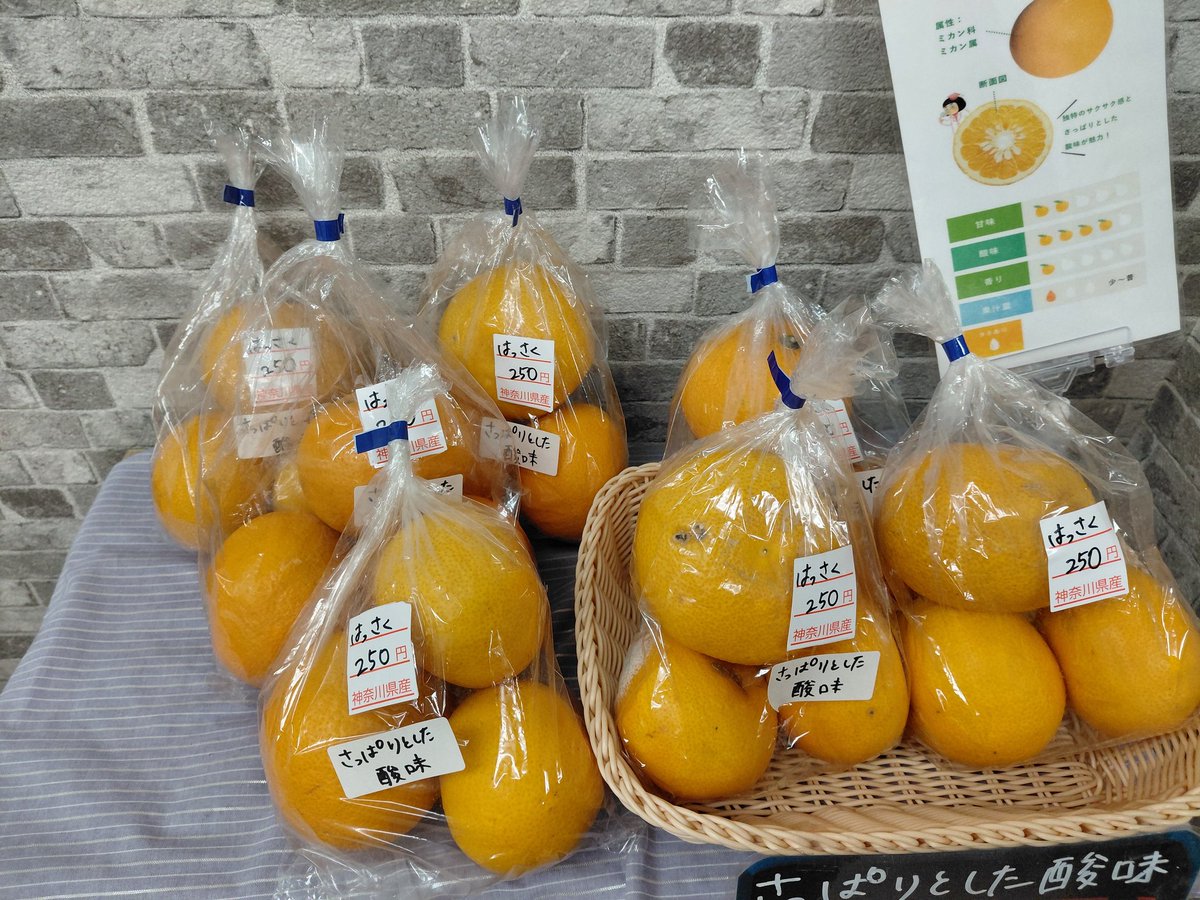 釜成屋【農家の直売所】 tweet media