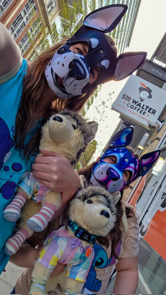 MyPuppyLife tweet media