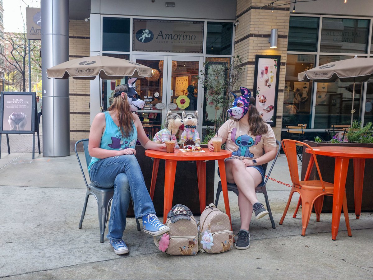 MyPuppyLife tweet media