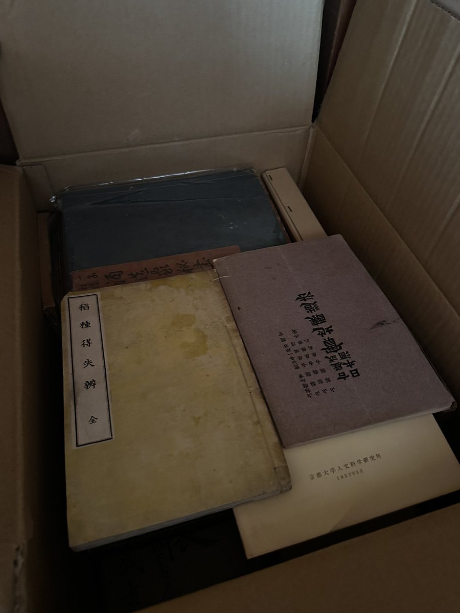 大髙尚人/Naoto Otaka tweet media