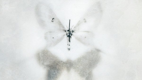 ͏͏͏͏͏͏͏͏͏͏͏ ͏͏͏͏͏͏͏ megumi, tweet media