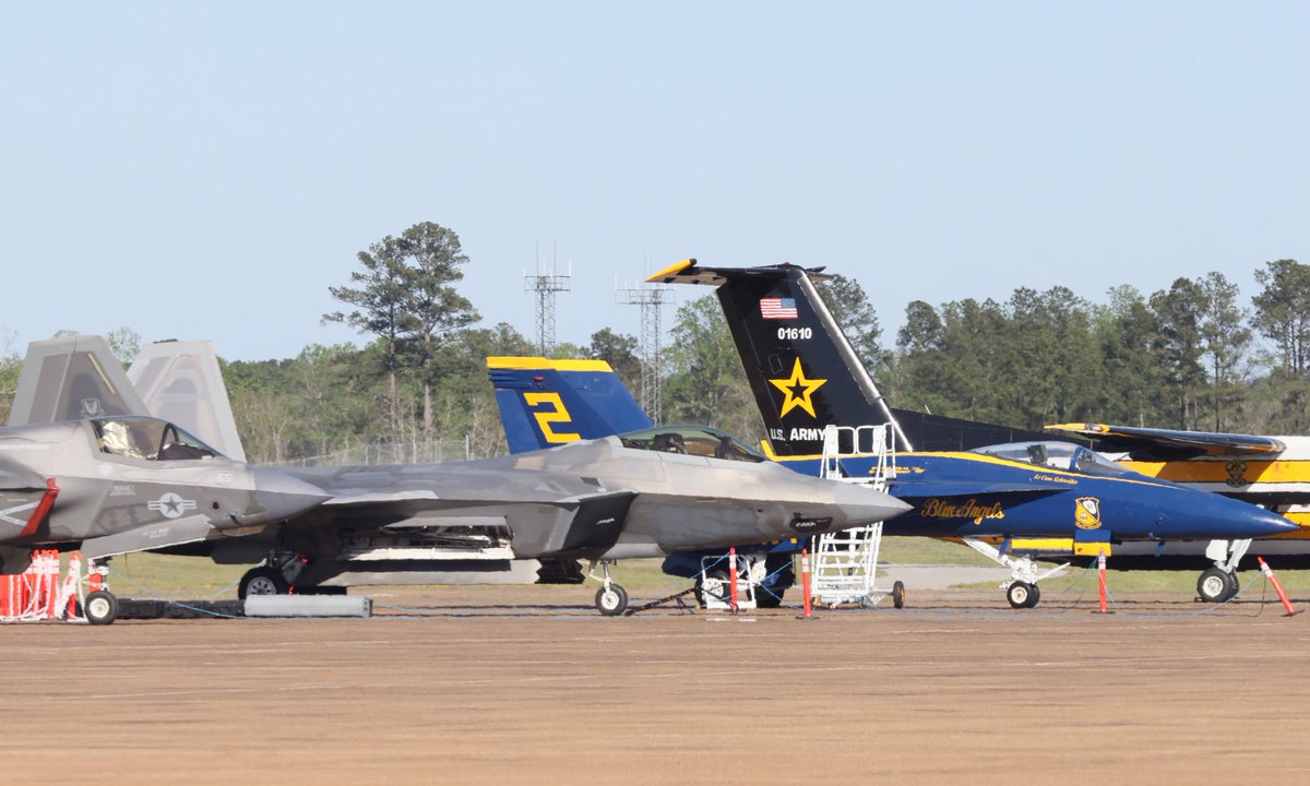 Tropical Cowboy of Danger tweet media