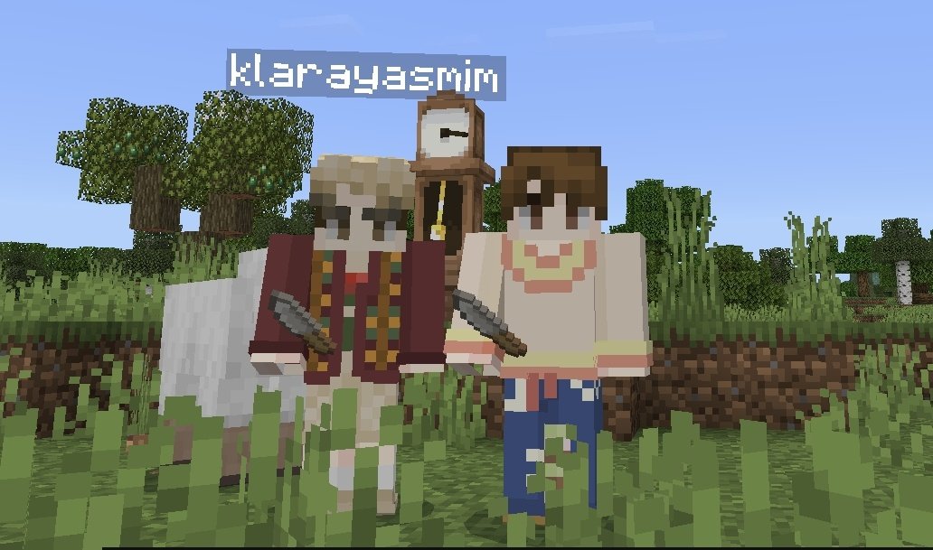 niki &amp; jungwon knife minecraft ver