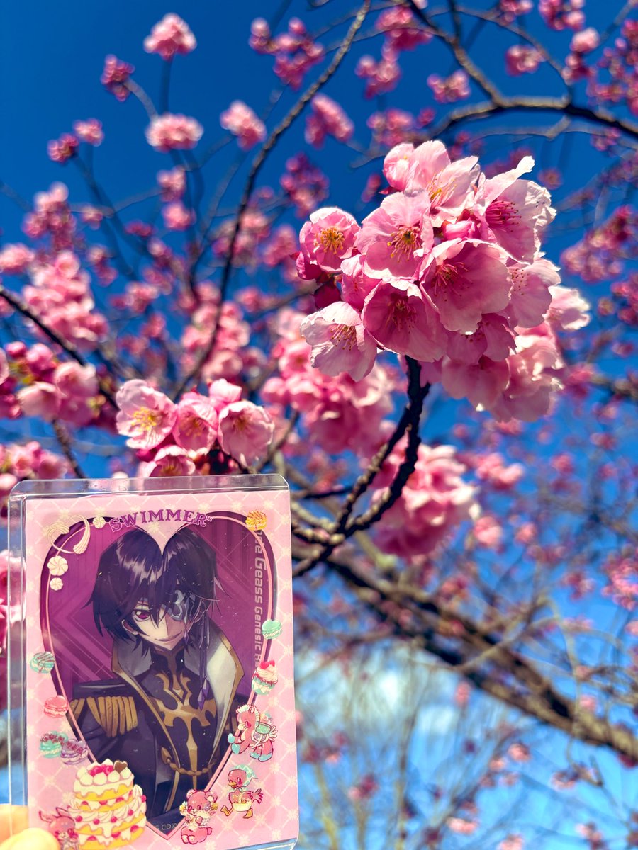 NilU07SuDO60929's tweet photo. おジュリ、さくらまだ早かったけど綺麗だったね。 https://t.co/CROB9heaUe