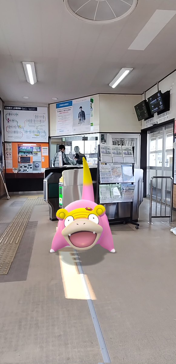 やなぎ博士と相棒ヤドちゃん tweet media