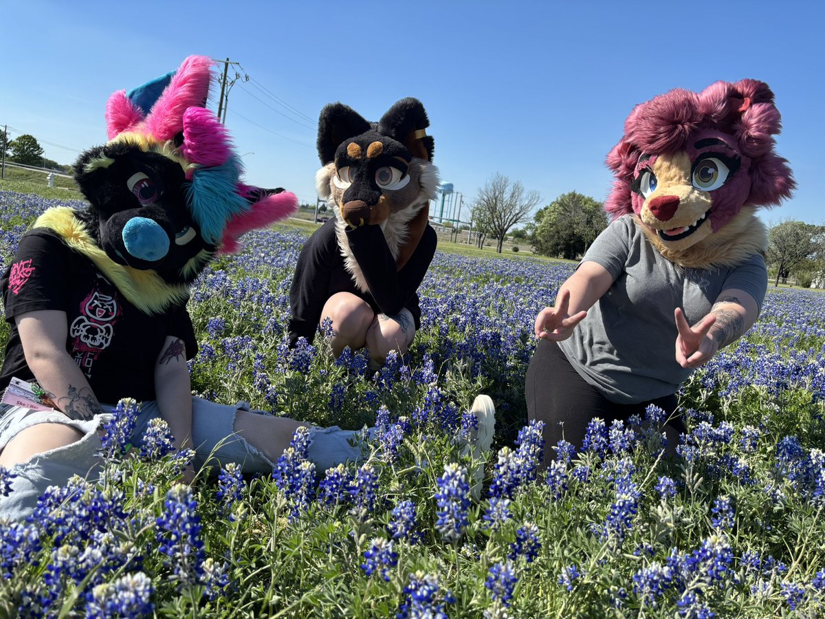 🤍DIOR🤎 tweet media