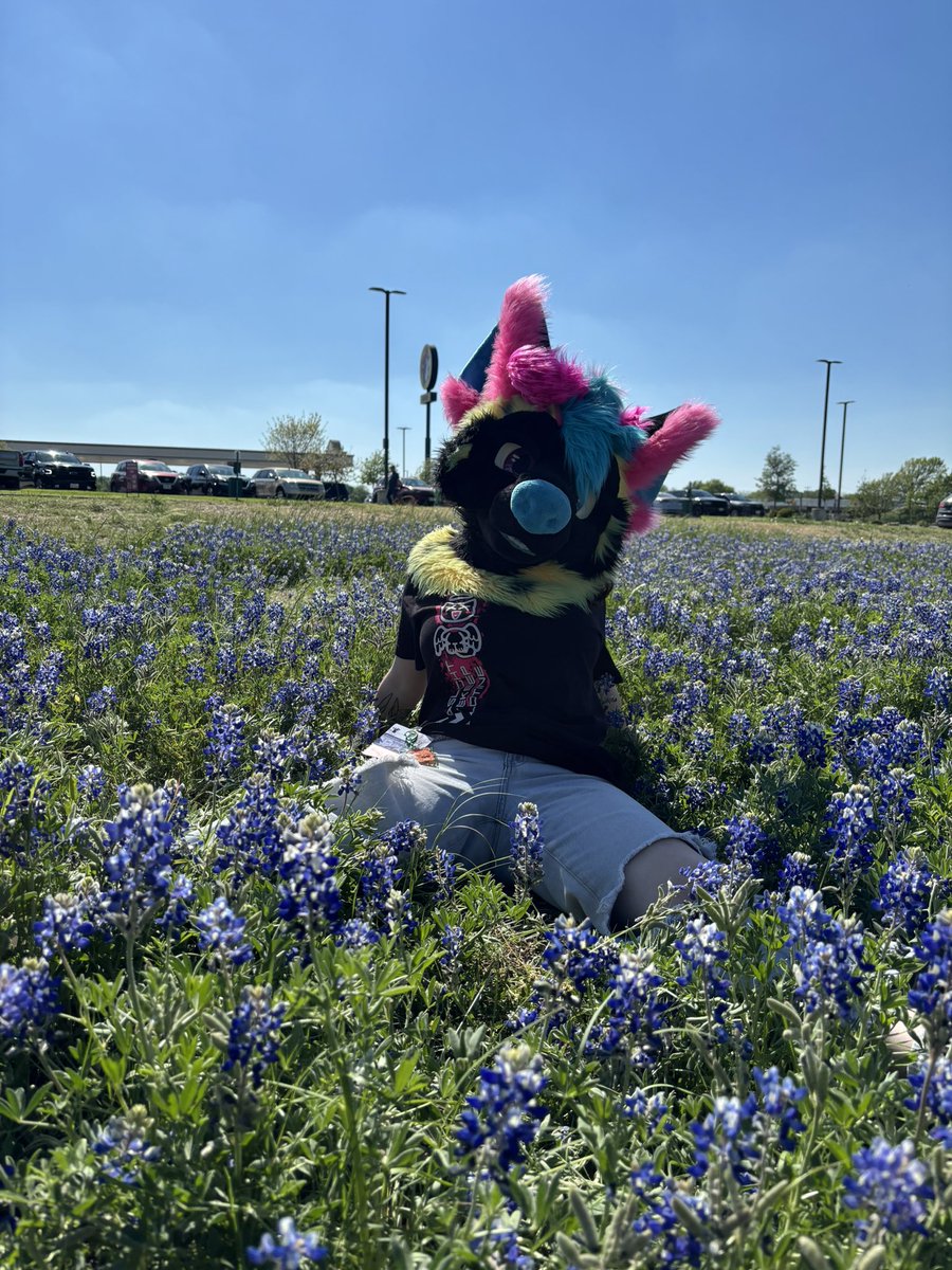 🤍DIOR🤎 tweet media