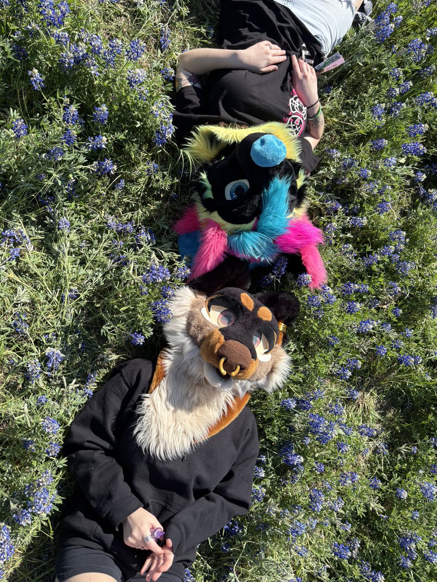 🤍DIOR🤎 tweet media