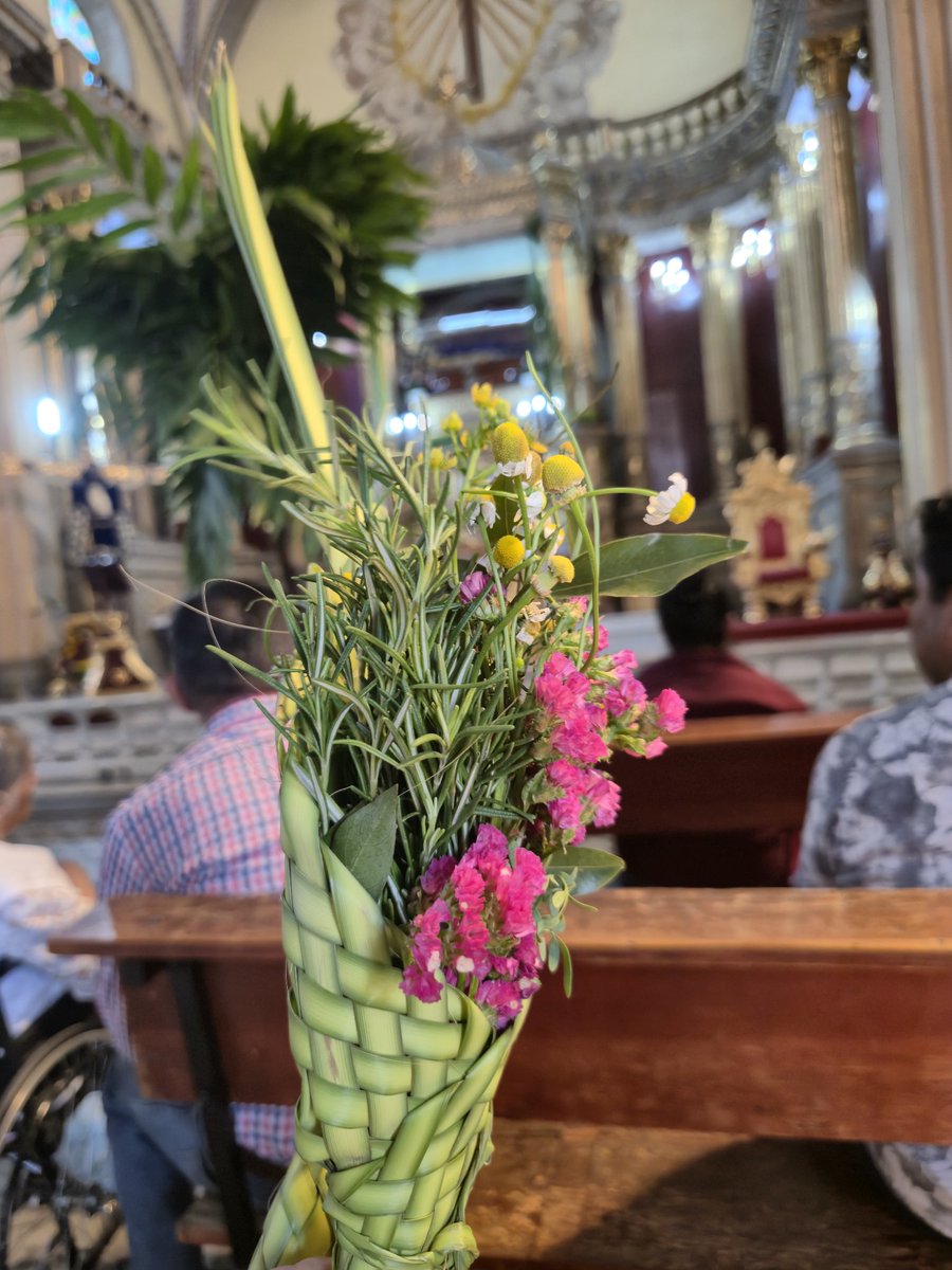 FLORENCIA tweet media