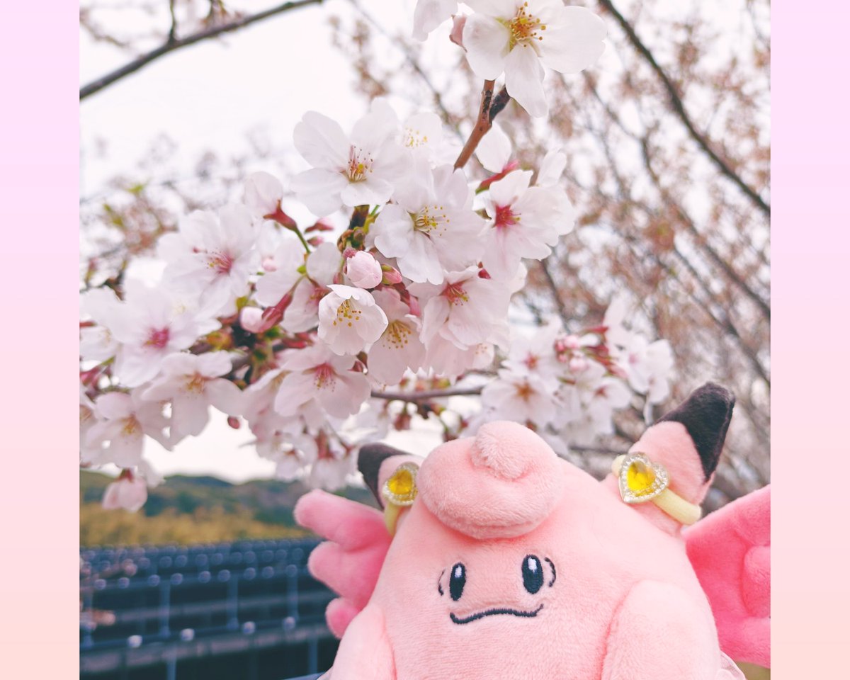 しょーちゃん🍬 tweet media