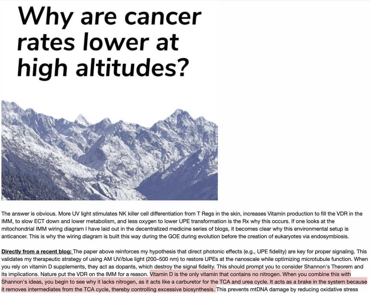 ☣️ Pleb Kruse = BTC foundationalist in exile 🟩🔆 tweet media