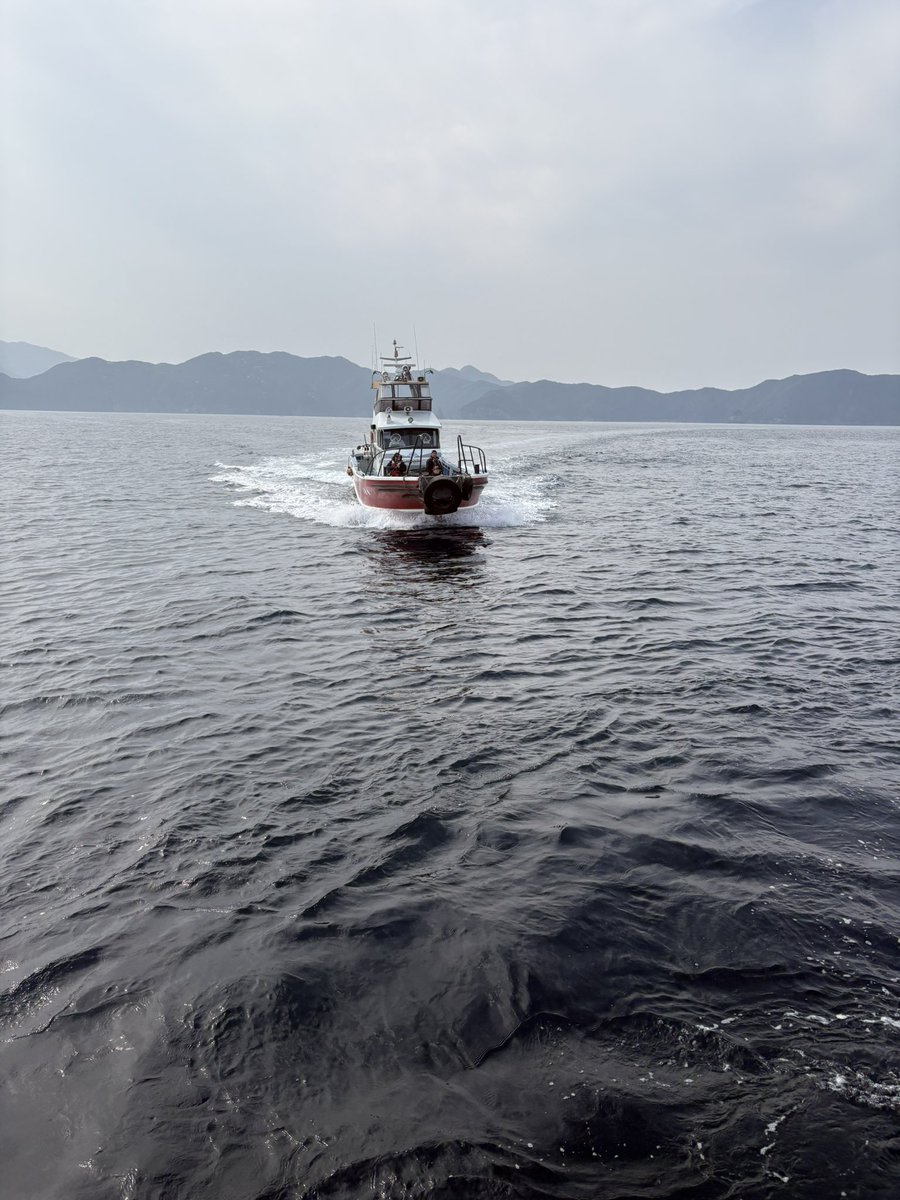 1654Hk's tweet photo. 昨日は功明丸の常連さんにお誘いいただき横島3番へ行ってきました！
相変わらず好調の米水津でとても楽しめました😊
#RoiRoi倶楽部 https://t.co/VdMA8CJePO