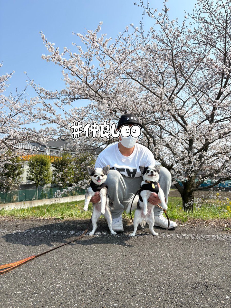 🎃もえ tweet media