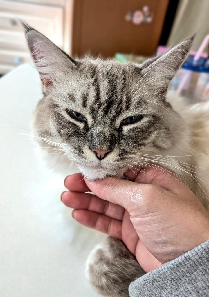 むぎまる tweet media