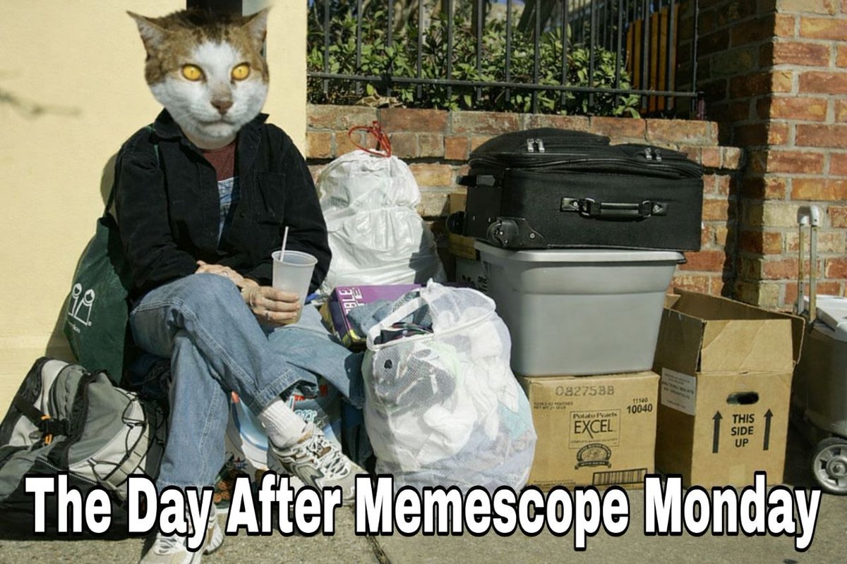 Monday Left Me Broken tweet media