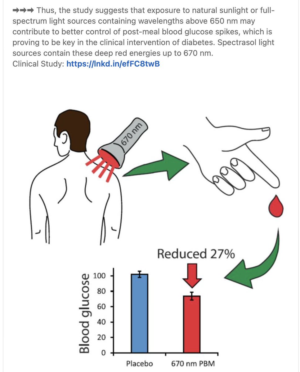 ☣️ Pleb Kruse = BTC foundationalist in exile 🟩🔆 tweet media