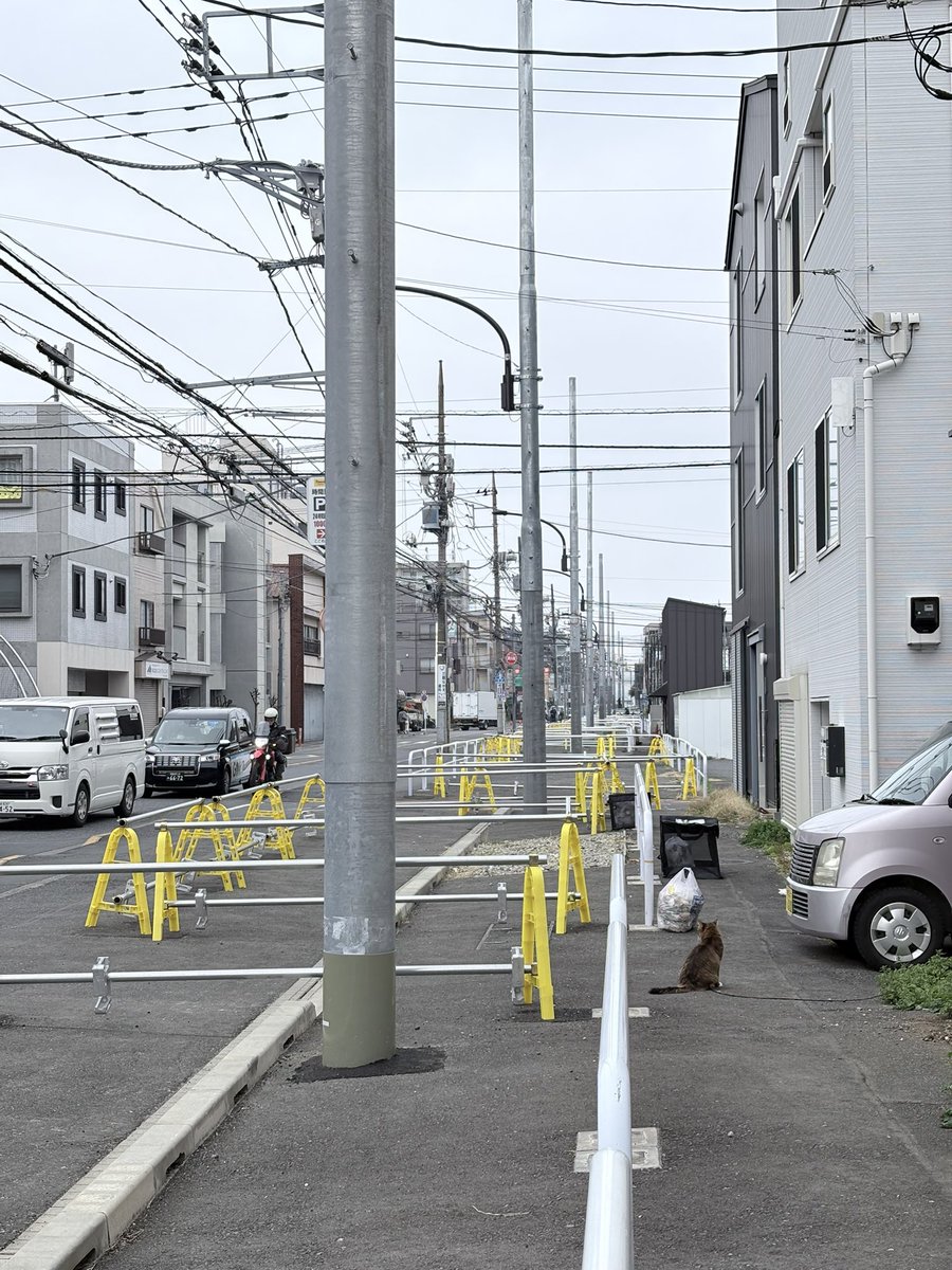 くわじ Kuwazi tweet media