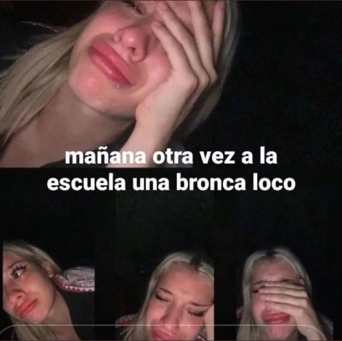 malex˚࿔ tweet media