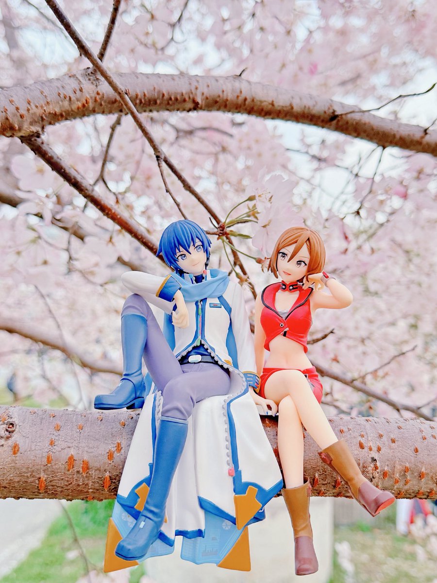 KAITO🌸MEIKO
