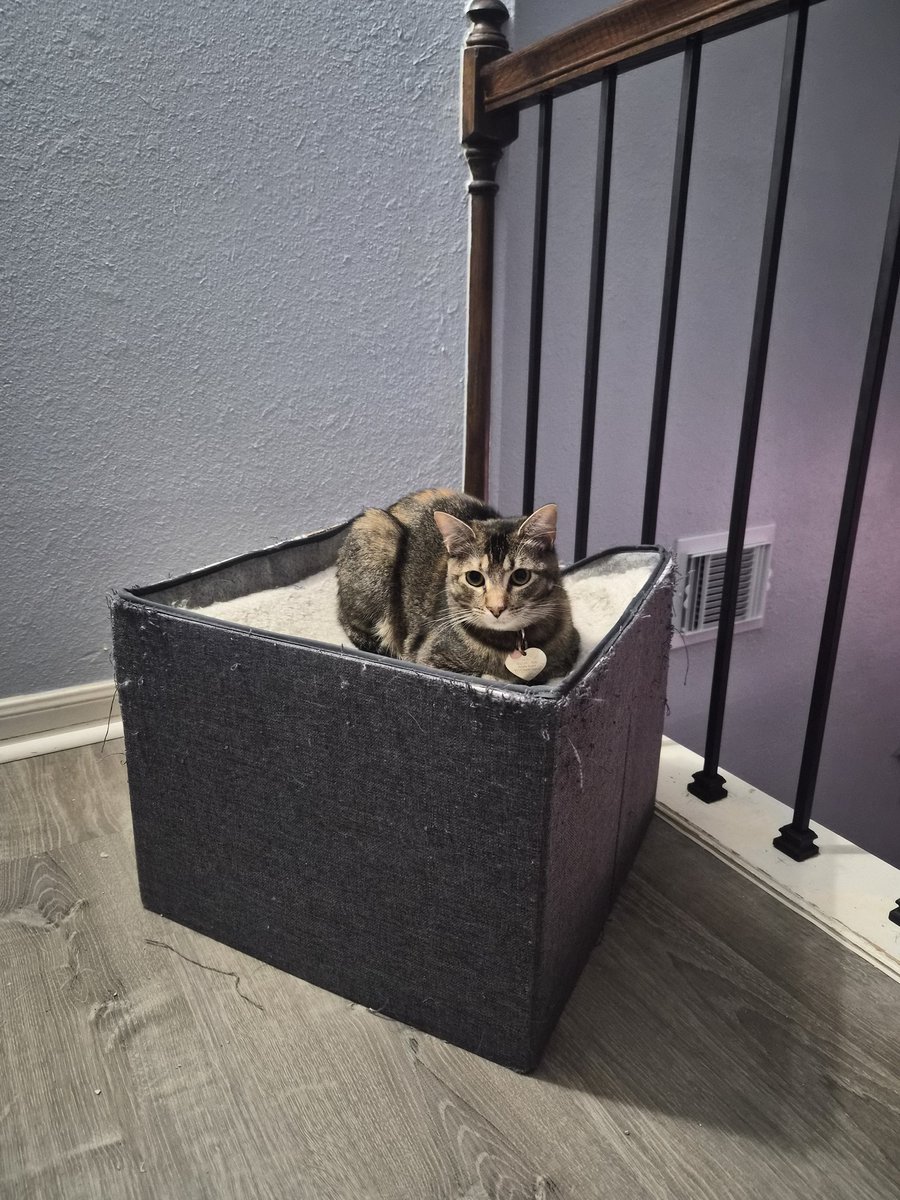 absolute tweet media