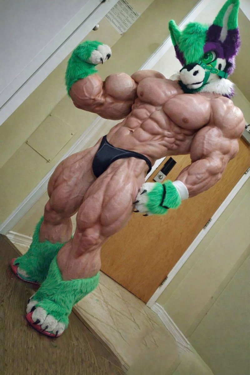 BulkBody AI tweet media