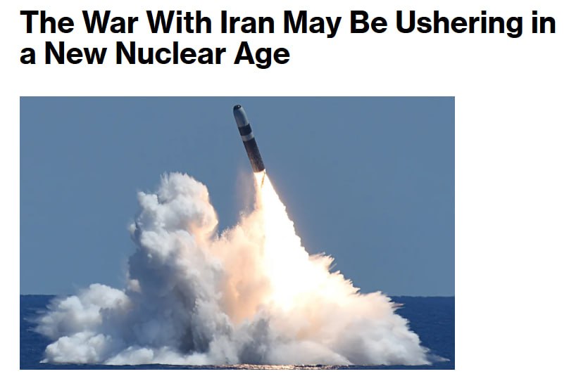 𝐃𝐚𝐯𝐢𝐝 𝐙 🇷🇺🇮🇪 tweet media