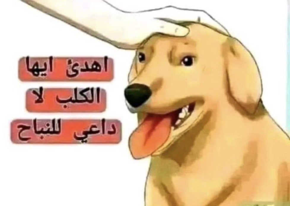 حاتم غالب tweet media