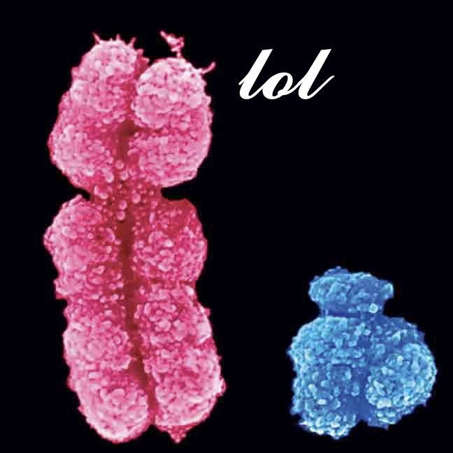 𝓳𝓮𝓪𝓷 𝓵𝓮𝓮 tweet media