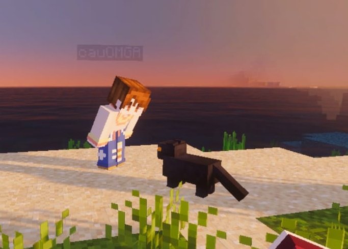 achei o jay 🐈‍⬛️