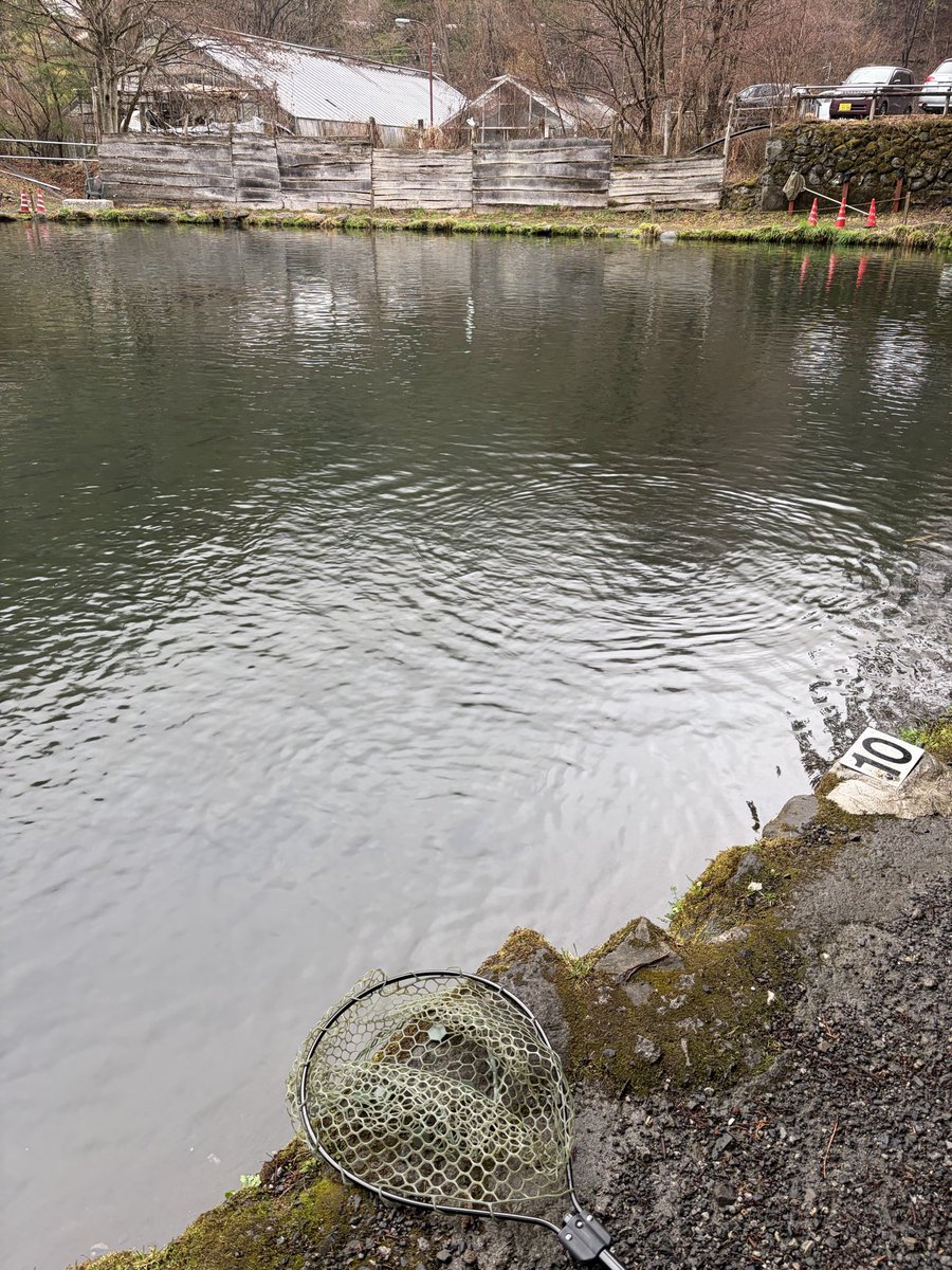 叶愛音(かずね)🎣 tweet media