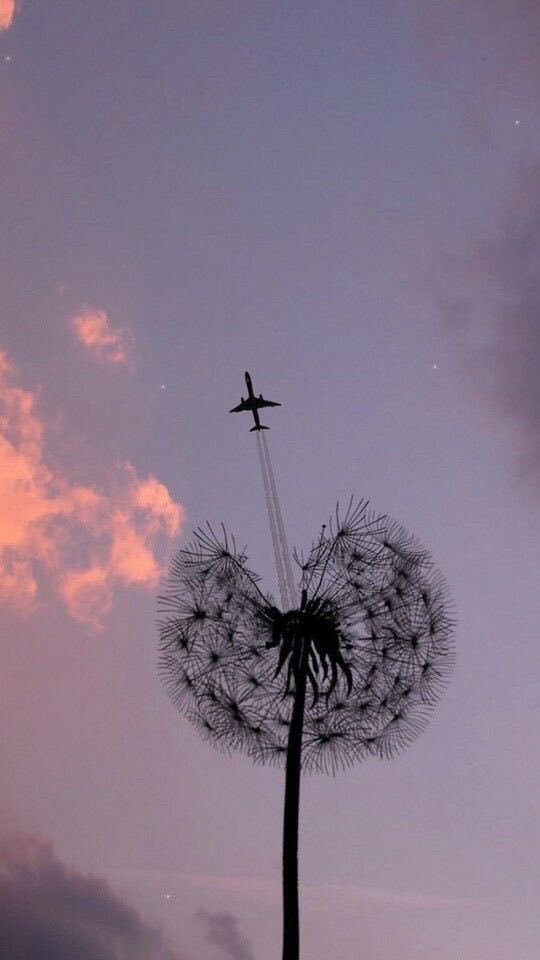 Easy 🅰️ tweet media