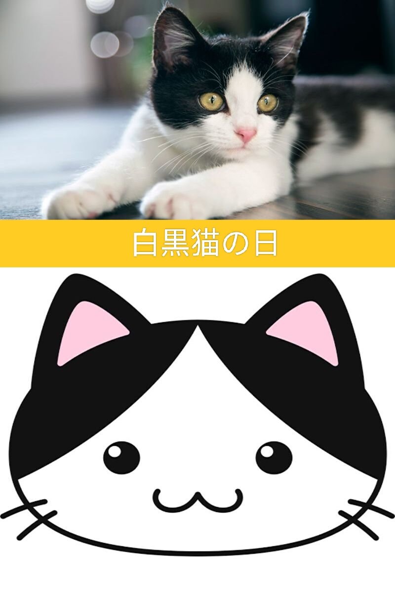 りんにゃんこ tweet media