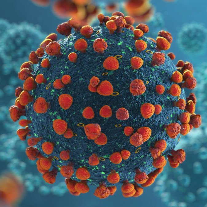 Real Time tweet media