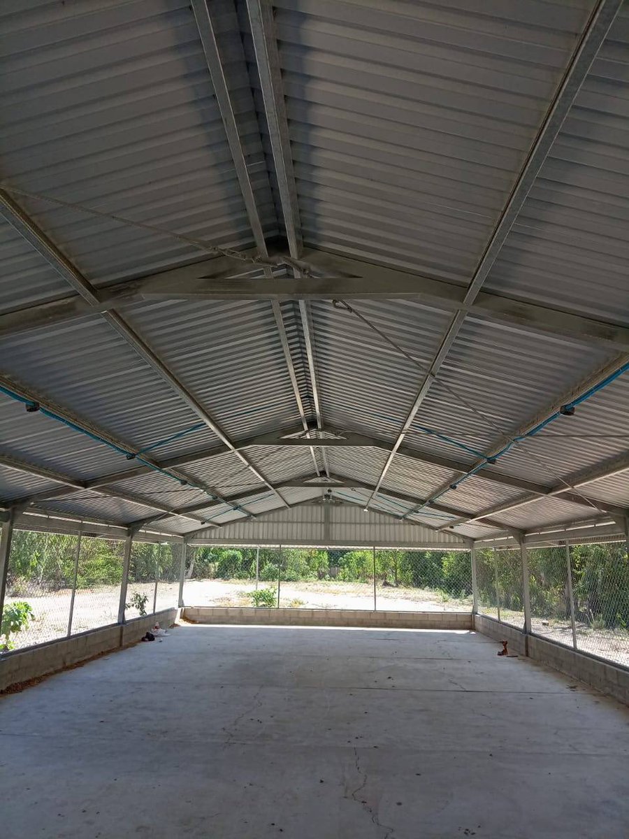 🥚PlatyMama tweet media