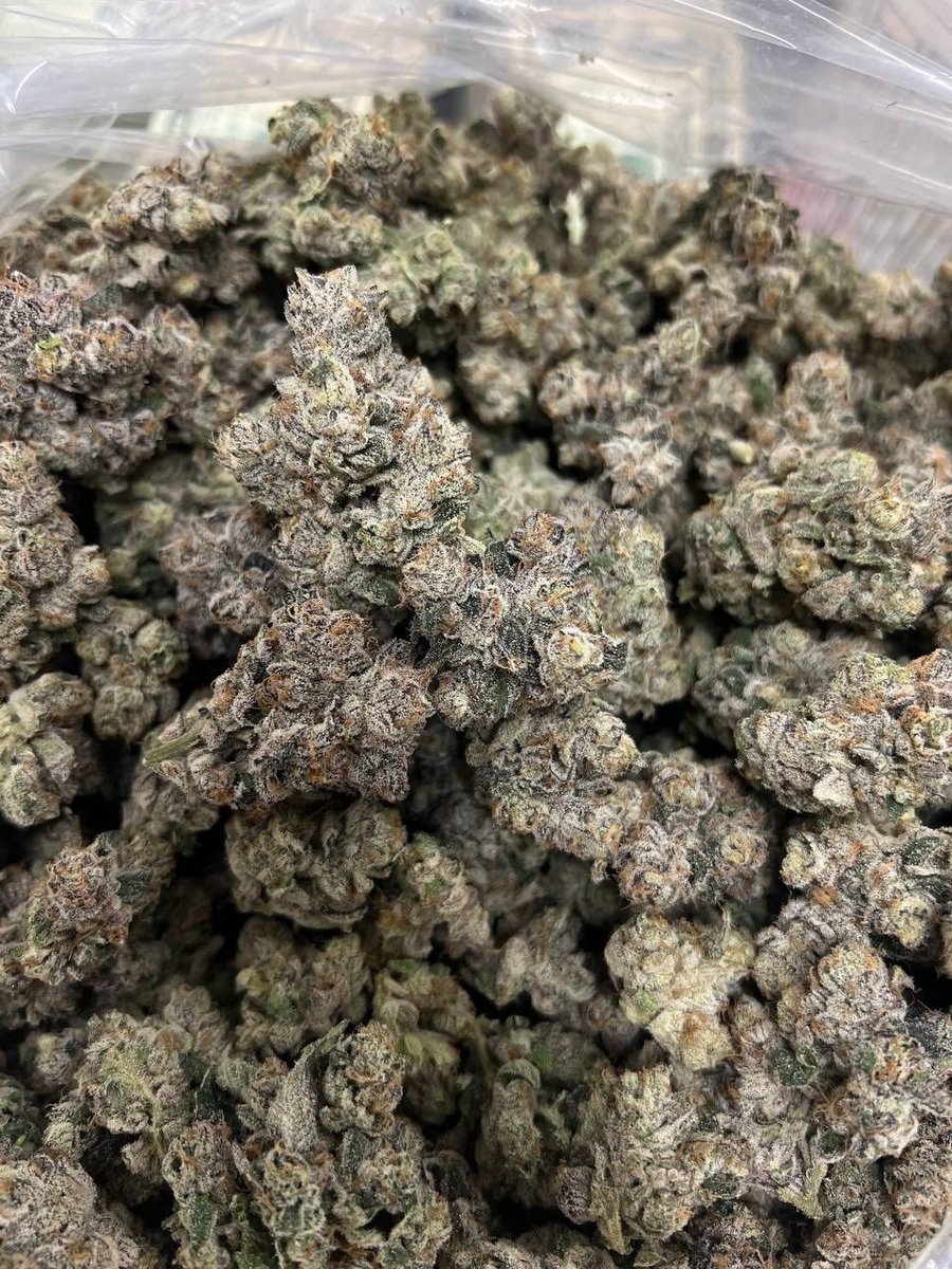 ELMER'S BUDD tweet media